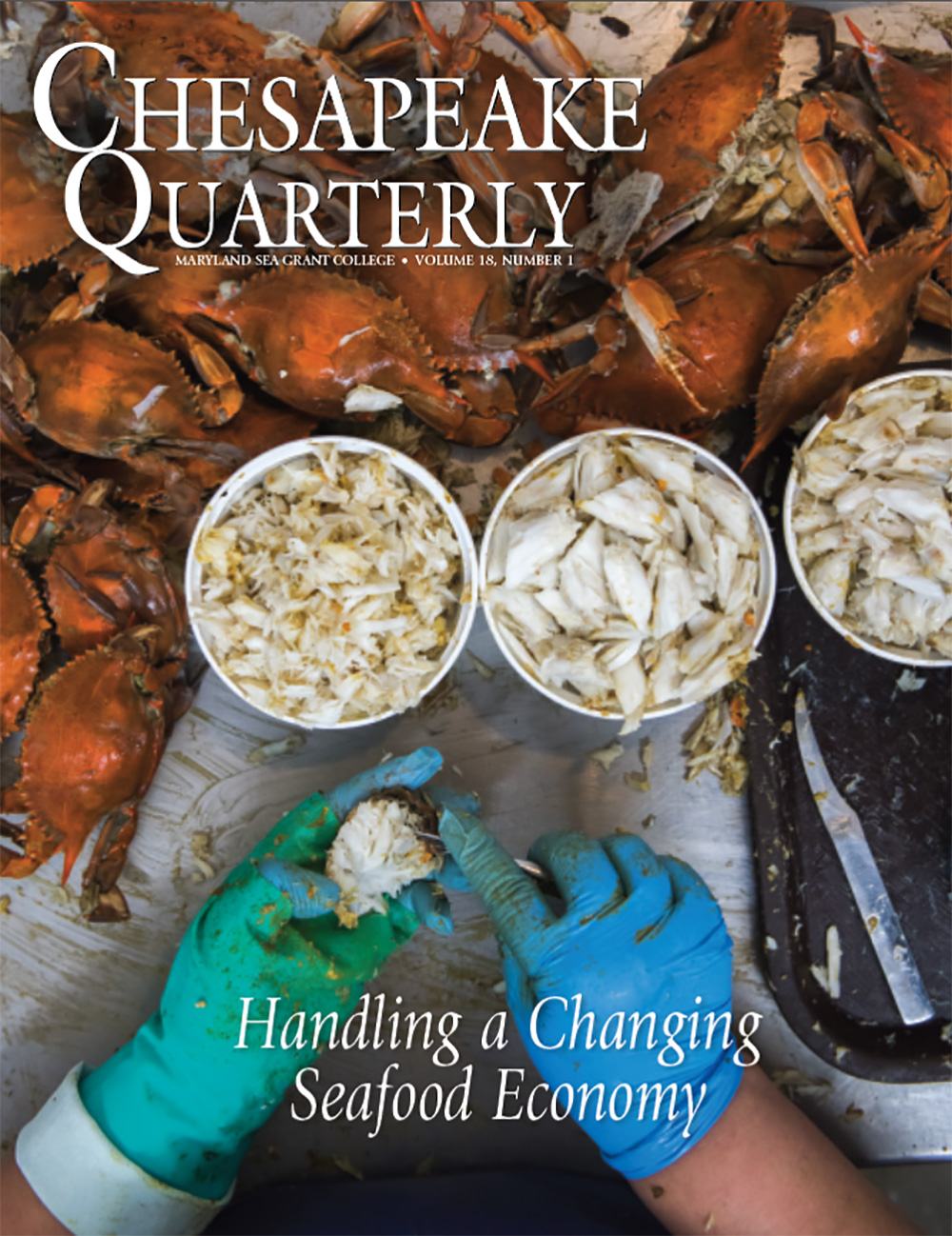 Cover for Handling a Changing Seafood Economy