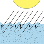 diagram showing how sediment bounce light