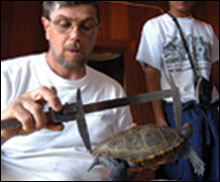 Kyaw Moe measuring a terrapin