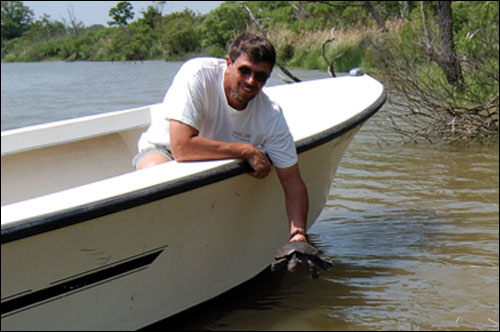 Kyaw Moe placing terrapin back in the water