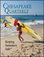 issue cover - keeping swimmers safe