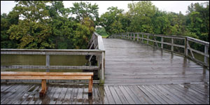 Kingman Island walkway by Erica Goldman