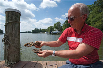 Jim McVey grows two kinds of oysters by Michael W. Fincham