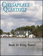 issue cover - flooded Eastern Shore near Hoooper's Island by Erica Goldman