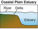 Coastal Plain Estuary