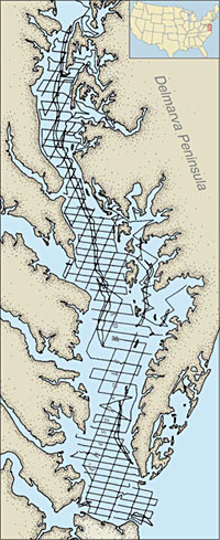 Survey grid the boat followed adapted from Figure 1 in Colman et al. (1990)