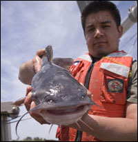 Bluefish by Michael W. Fincham