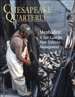 issue cover - More pounds of menhaden are landed each year than any other fish in the Chesapeake. The fish is valuable not only commercially but for the ecosystem - it provides food that sustains striped bass and ospreys and many other predatory fish and birds. With menhaden stocks at their lowest point in half a century, is it time to try a different kind of management? Photograph by Harold Anderson For the Smithsonian Center for Folklife and Cultural Heritage