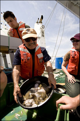 Chesapeake Biological Lab researcher Ed Houde and his graduate assistant Carlos Lozano (upper left) found a lot of hogchokers on a sampling cruise in the Choptank River - but that's not the fish they were looking for. Photograph by Michael W. Fincham.