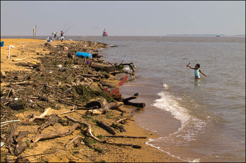 Sandy Point State Park near Annapolis, Maryland. Photograph by David Harp.