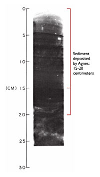 Sedidment core courtesy of the Chesapeake Research Consortium.