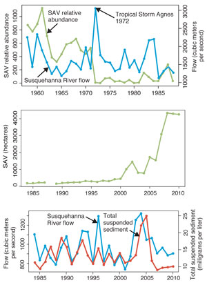Abundance of Submerged Aquatic Vegetation. Figures by Cassie Gurbisz, UMCES Horn Point Lab; data from a variety of sources.