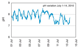 Variation of pH over 14 days in July 2010 at Fort Howard. Source: Maryland Department of Natural Resources, Eyes on the Bay