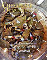 issue cover - Blue crabs big enough for the "basket trade." These crabs can be sold for steaming and eating at summertime crab feasts. You can tell these are female crabs: they "paint their nails red." Credit: Michael W. Fincham.