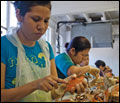 A line of women, most in the U.S. on guest worker visas, pick crabs at the J. M. Clayton Seafood Company in Cambridge, Maryland. Credit: Daniel Strain.