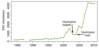 The bay-grass explosion on the Susquehanna Flats. Figure by Cassie Gurbisz