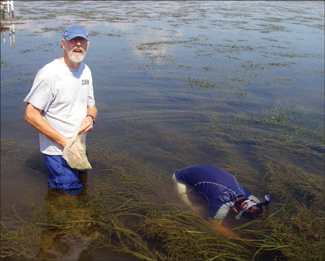 Ecologists Michael Kemp and Jeremy Testa gather bay-grass samples on the Susquehanna Flats. Credit: Debbie Hinkle