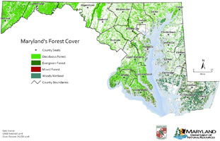 Forest coverage map