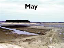 Poplar Island sign