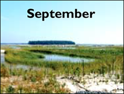 Poplar Island map