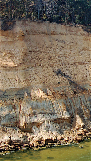 Calvert Cliffs. Credit: Stephen Godfrey, Calvert Marine Museum