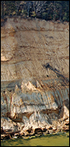 Calvert Cliffs. Credit: Stephen Godfrey, Calvert Marine Museum