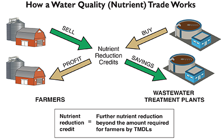 Maryland Sea Grant figure (drawings: farm, Kim Kraeer and Lucy Van Essen-Fishman, IAN; treatment plants, Tracey Saxby, IAN)