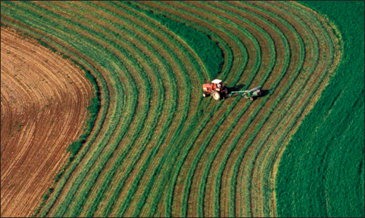 Contour plantings like those on this farm in Frederick County, Maryland, help reduce runoff. Credit: David Harp