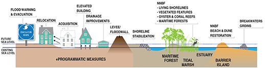 Shoreline development drawing. Credit: U.S. Army Corps of Engineers