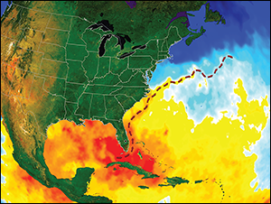 Gulf Stream. Credit: National Aeronautics and Space Administration Visualization Studio with arrows added by Sandy Rodgers