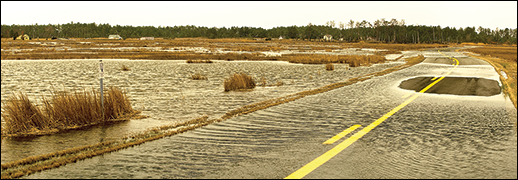 Maple Dam Road flooded during high tide. Photograph: David Harp