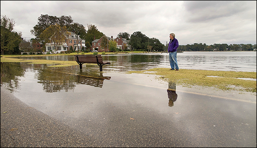 Ghent neighborhood, Norfolk, Virginia. Credit: David Harp