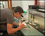 Patrick Mojica with microsope. Credit: Daniel Strain