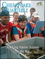 issue cover - student fellows on their orientation cruise for Maryland Sea Grant’s Research Experiences for Under¬graduates program in summer 2013 pore over a bucket filled with oysters: (from left to right) Arthur Williams, Zachary Watkins, Jenessa Duncombe, Nicholas Taylor, Christine Schalkoff. Photograph, Sandy Rodgers