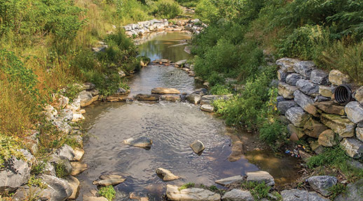 Watts Branch, a tributary of the Anacostia River in Washington, D.C. Photograph, David Harp