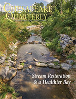 issue cover - Watts Branch, a tributary of the Anacostia River in Washington, D.C. In 2011, work was completed to install a series of pools and add rock structures to slow the flow of water. Photograph, David Harp