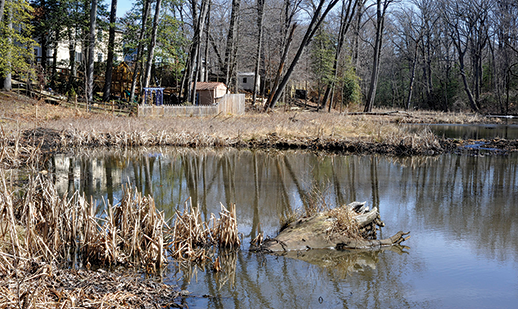 Designers of the North Cypress Branch</span> restoration project planned a series of constructed floodplain wetlands like this one to help slow the stream's flow. Photograph: Jeffrey Brainard
