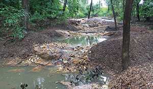 Shallow pool. Credit: Biohabitats Inc.