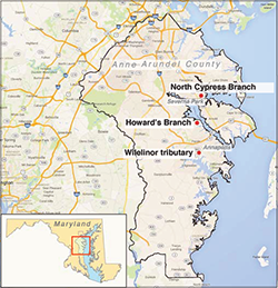 Maps, Anne Arundel County, Google data 2015, (county outline and stream locations added by Sandy Rodgers); Maryland, iStockphoto.com/Texas map library