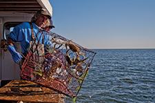 Donny Eastridge pulls in a crab pot. Photograph: Michael W. Fincham