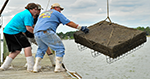 Ted Cooney and his partners. Credit: Madhouse Oysters