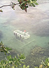 ACT field station on a coral reef in Hawaii. Photograph, Alliance For Coastal Technologies