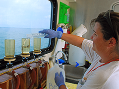 Biologist measures nutrients in the Bay. Photograph, courtesy of the Chesapeake Bay Program