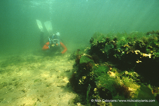 An underwater photographer. Photograph by Nick Caloyianis
