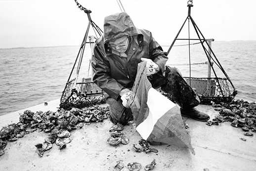 The late George Krantz sorting oysters. Photograph by Skip Brown