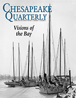 issue cover - this image of skipjacks in winter rafted together in Annapolis Harbor became a famous and popular poster for Marion E. Warren.