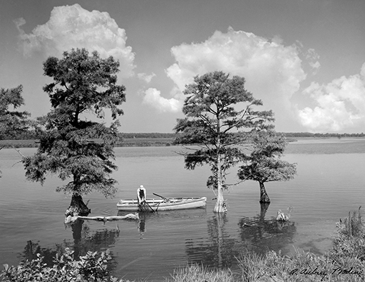 Snapper Trapper. Photograph, A. Aubrey Bodine, copyright  Jennifer B. Bodine