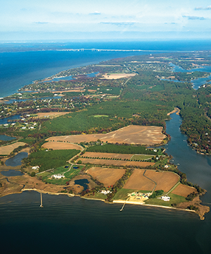 Looking north along Maryland's Kent Island toward the Bay Bridge. Photograph, David Harp