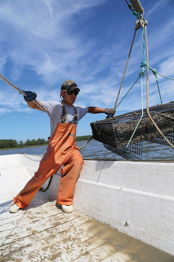 Kent County Oyster Farmer Scott Budden brings knowledge, enthusiasm, and maybe oysters to our board.