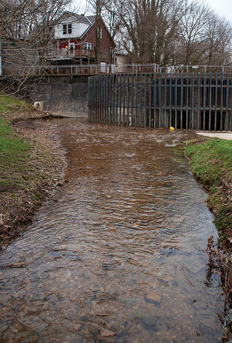 Wills Creek starts out as a full-fledged stream of the Potomac, but is contained in a concrete flood control structure as it passes through Cumberland, MD. Here it’s a river surrounded by concrete. Photograph, Nicole Lehming